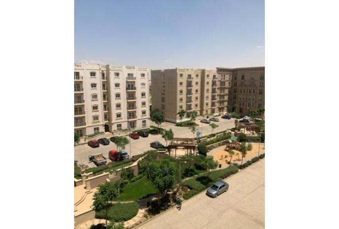 7913377 - صورة العقار 3