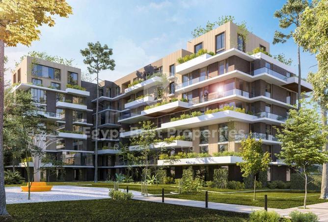 8153162 - Property Image 3