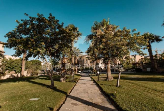 8196391 - Property Image 2