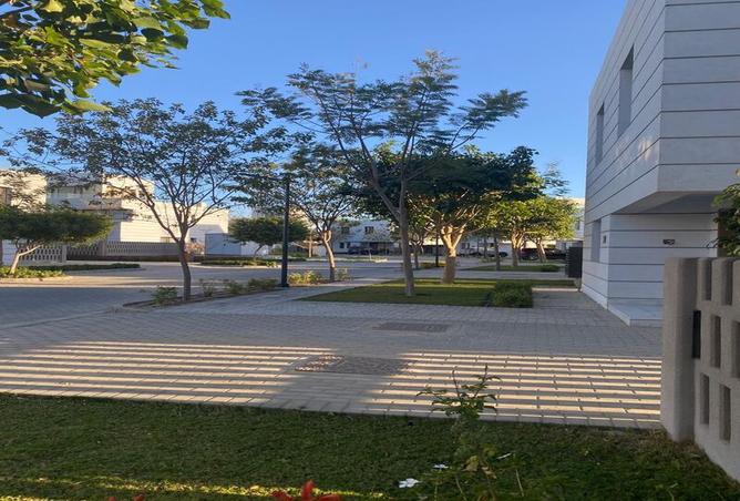 7984509 - صورة العقار 2