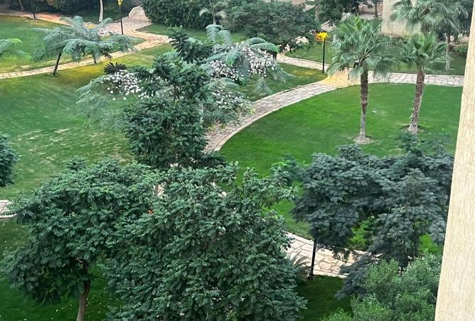 8274687 - صورة العقار 2