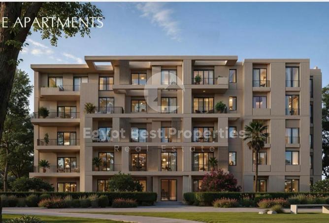 8276081 - Property Image 3