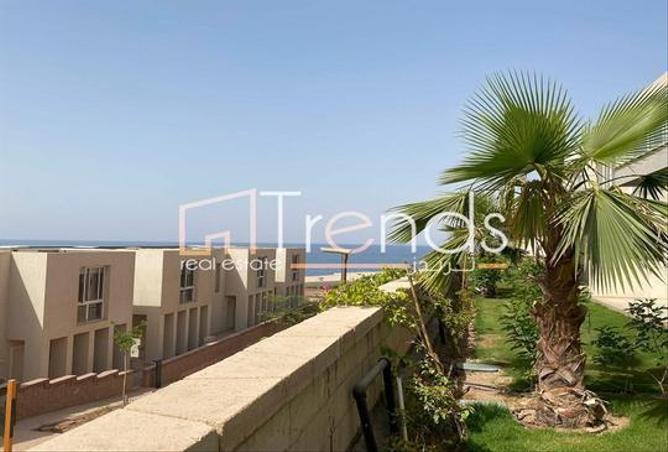 7901590 - صورة العقار 3