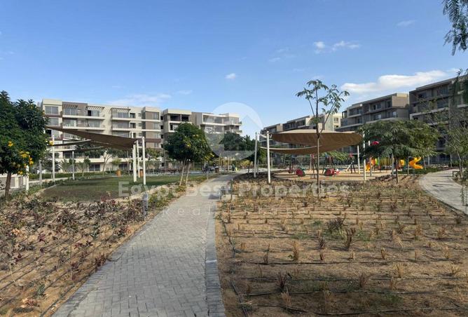 8141429 - Property Image 2