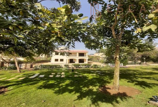 8170798 - صورة العقار 2