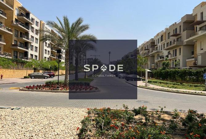 8505395 - Property Image 3