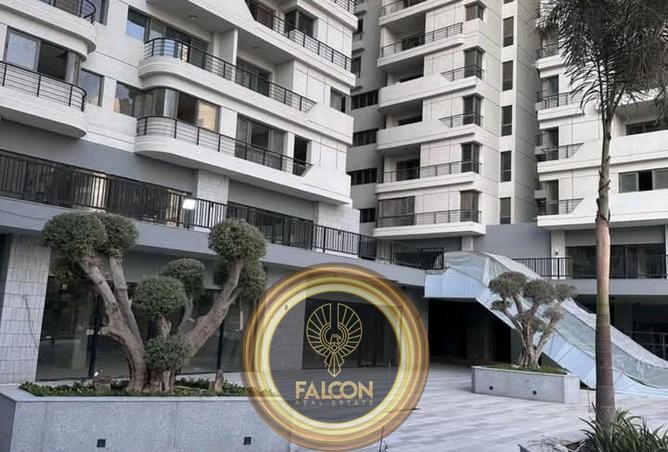 8317772 - Property Image 2