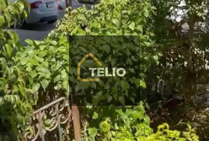 8492167 - Property Image 3