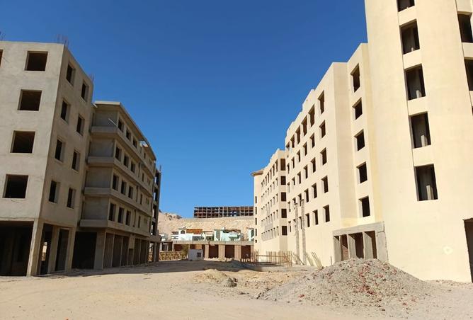 8377886 - صورة العقار 3