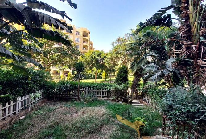 8019447 - Property Image 3