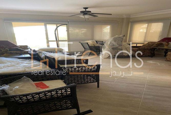8136600 - Property Image 3