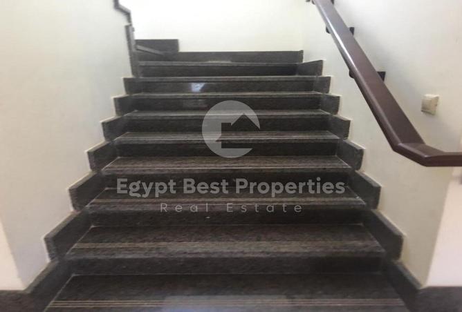 8110267 - Property Image 3