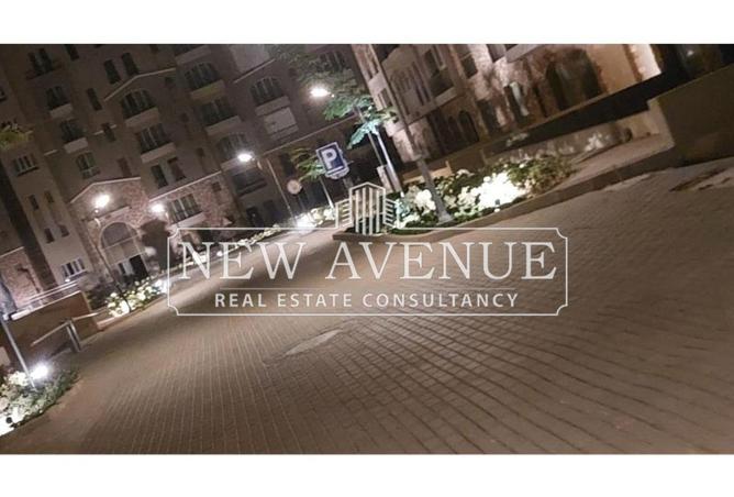 8360222 - Property Image 3