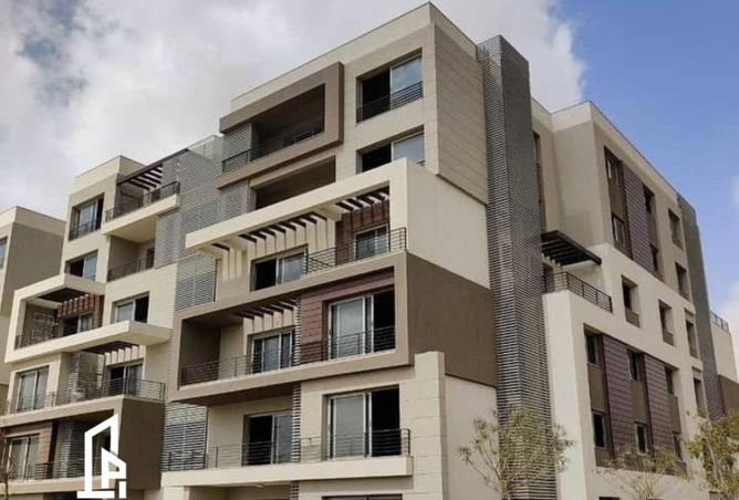 8241979 - Property Image 3