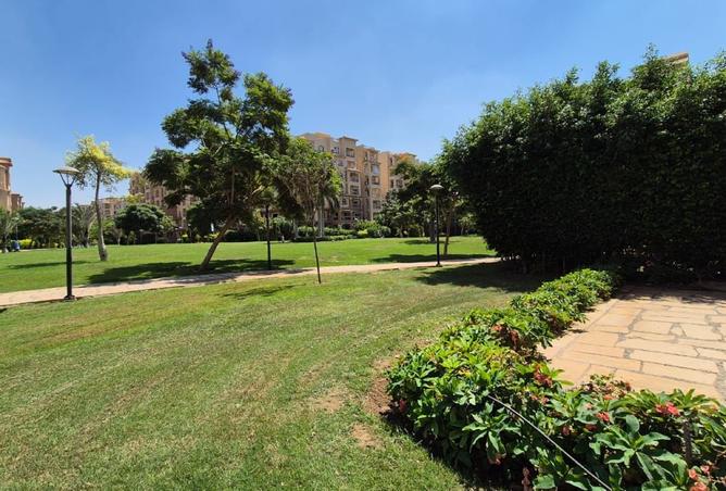 8316752 - الصورة الرئيسية للعقار