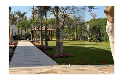 قطعة أرض - استوديو للبيع في افق - طريق مصر اسكندرية الصحراوي - مدينة 6 أكتوبر - الجيزة