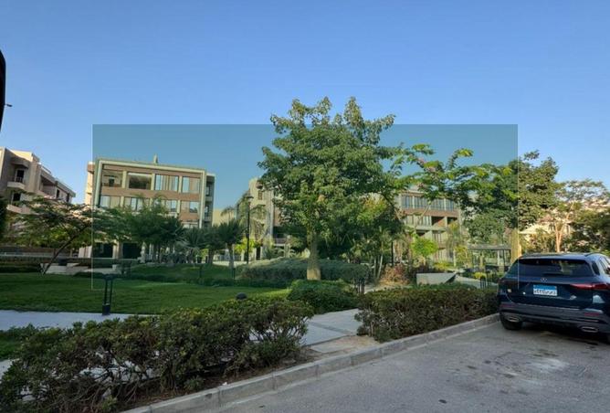 8252874 - Property Image 3