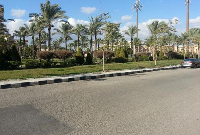 8511566 - Property Image 3