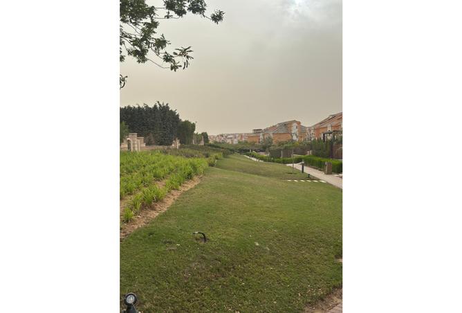 7995353 - صورة العقار 3