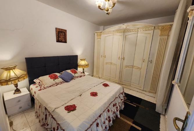 8036801 - Property Image 3