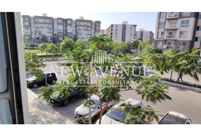 8174904 - Property Image 3