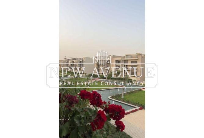 8462936 - Property Image 3