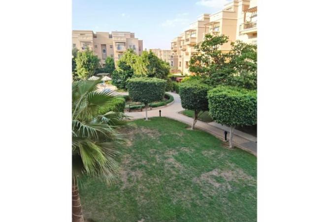 8020572 - صورة العقار 3