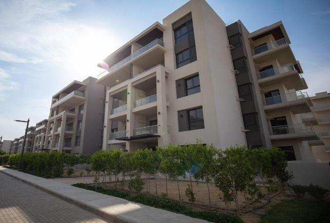 8425754 - Property Image 3