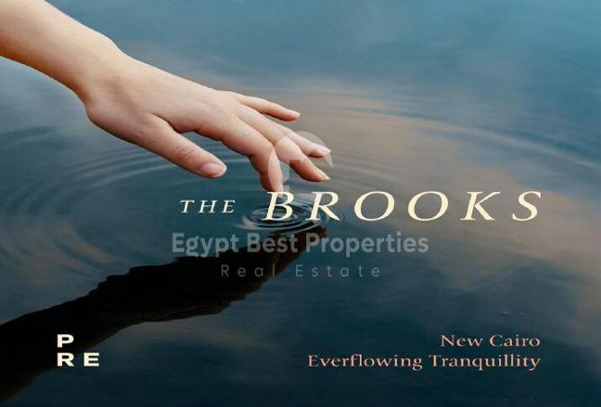 8469783 - Property Image 2