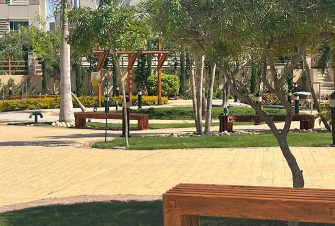8131427 - صورة العقار 3