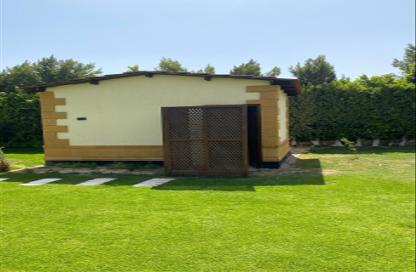 Villa - 5 Bedrooms - 5 Bathrooms for sale in Wadi Al Nakhil - Cairo Alexandria Desert Road - 6 October City - Giza