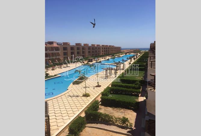 8018878 - صورة العقار 2