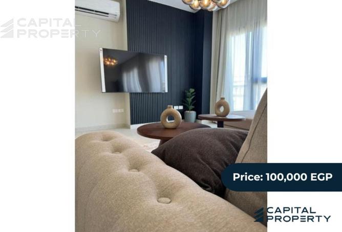 8177297 - Property Image 3