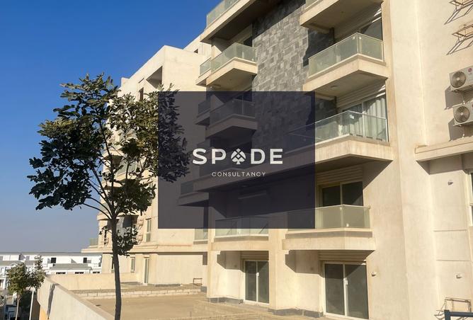 8427410 - Property Image 3