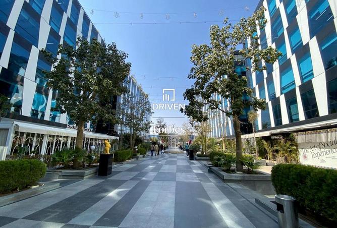 8033667 - صورة العقار 2