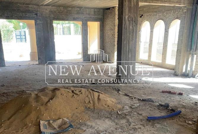 7991265 - Property Image 3