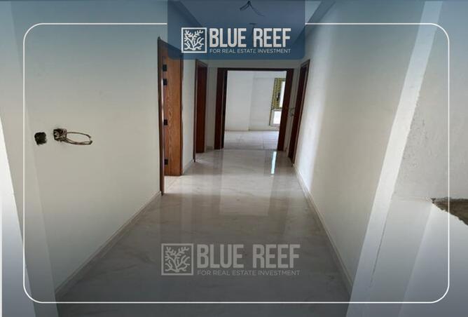 8442320 - Property Image 3