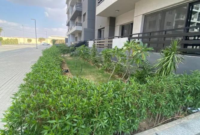 8079250 - صورة العقار 2