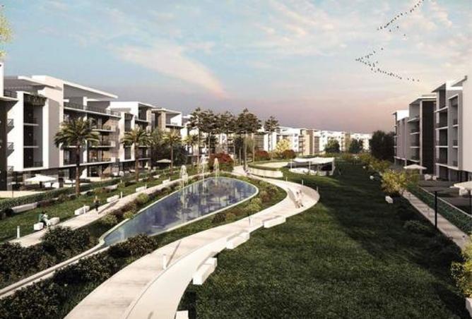 7903131 - Property Image 2