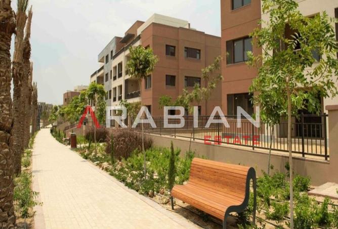 8388494 - Property Image 3