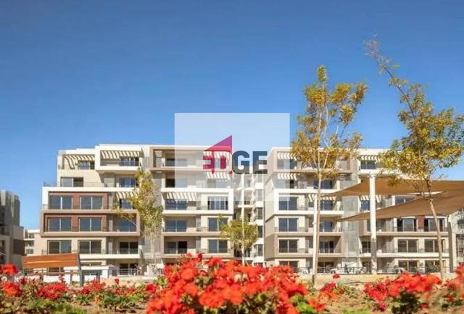 8446613 - Property Image 3