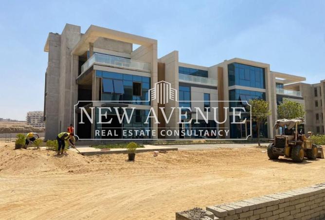 8375847 - Property Image 3