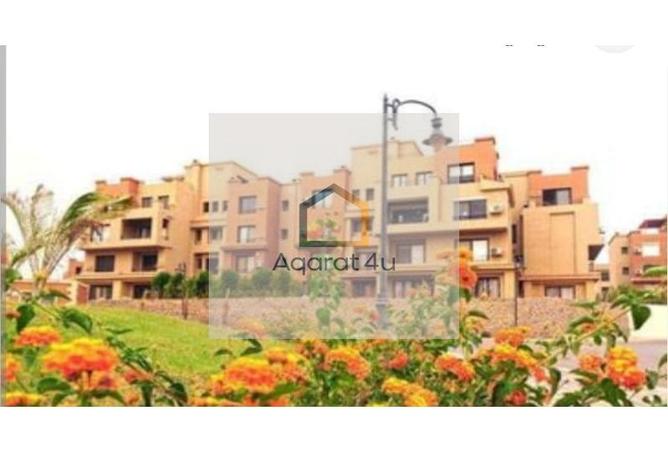 8436042 - Property Image 2