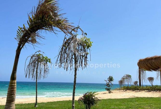 7896431 - Property Image 3