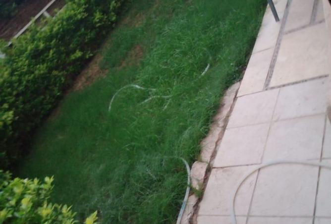 8262382 - صورة العقار 3