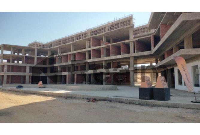 8402646 - صورة العقار 3