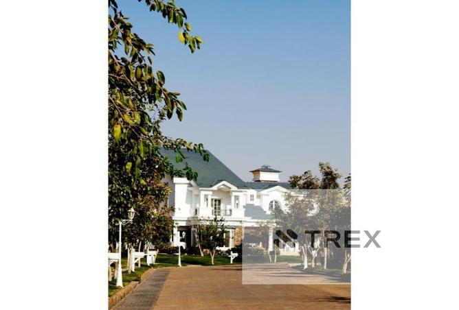 7021518 - صورة العقار 3