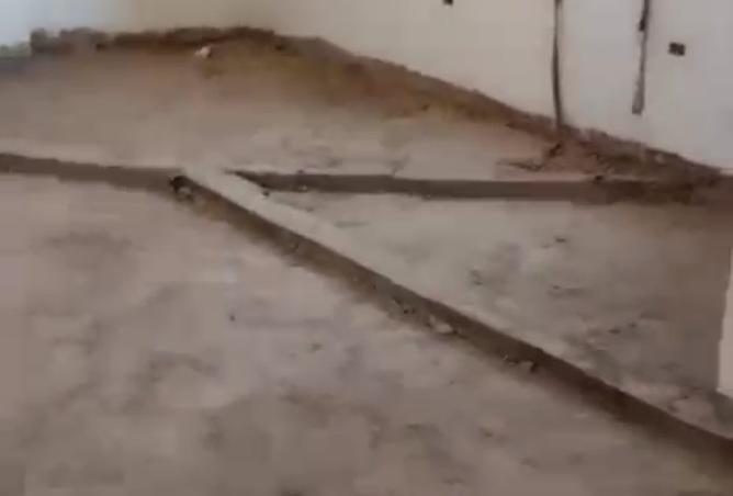 8256128 - صورة العقار 3