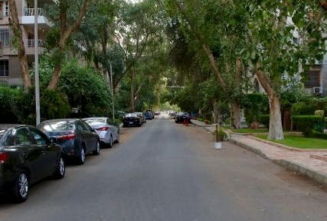 7903200 - صورة العقار 2