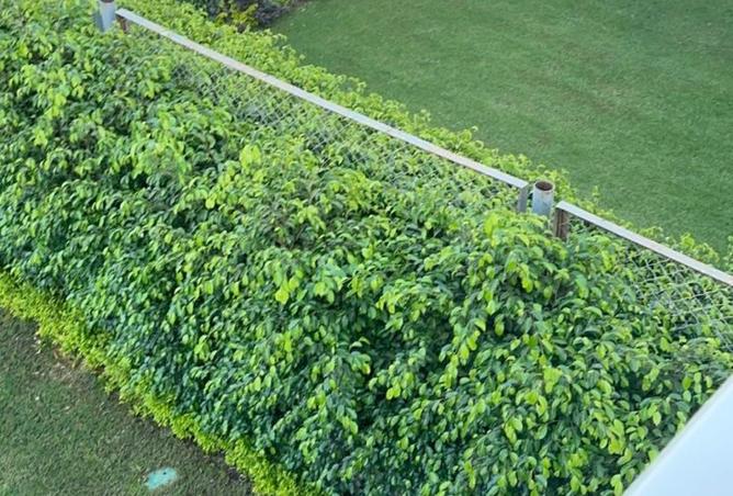 8387740 - Property Image 2